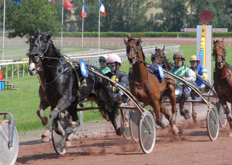 Courses hippiques – 11h45