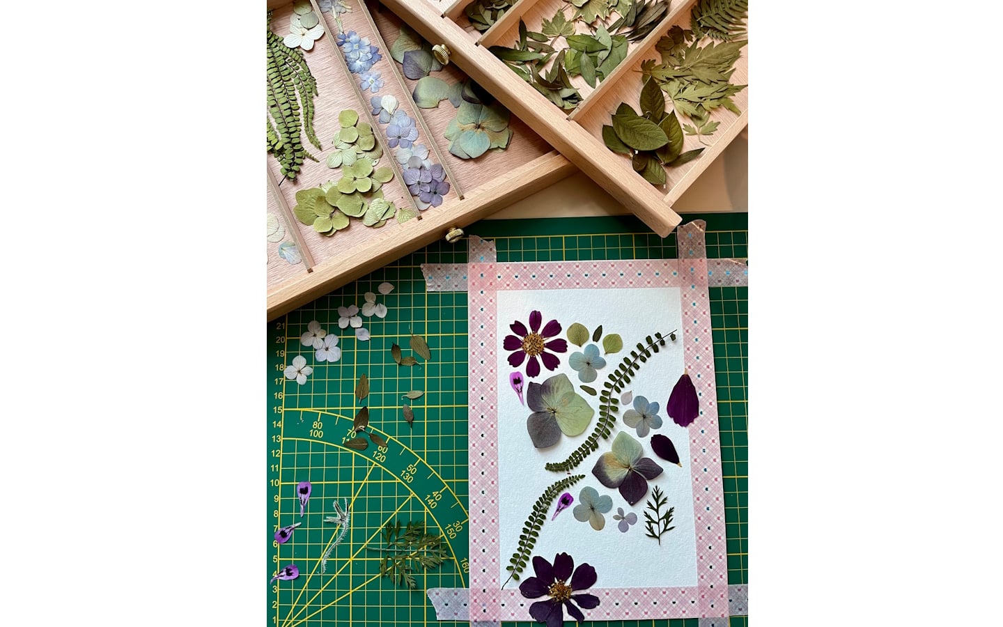 Ateliers Manufacture Pays Basque - Atelier Herbier