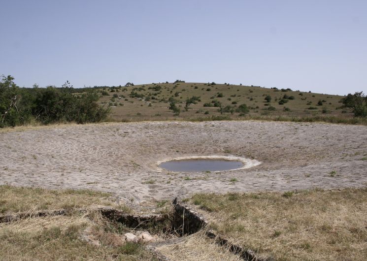Sortie Nature – A la découvert de la lavogne