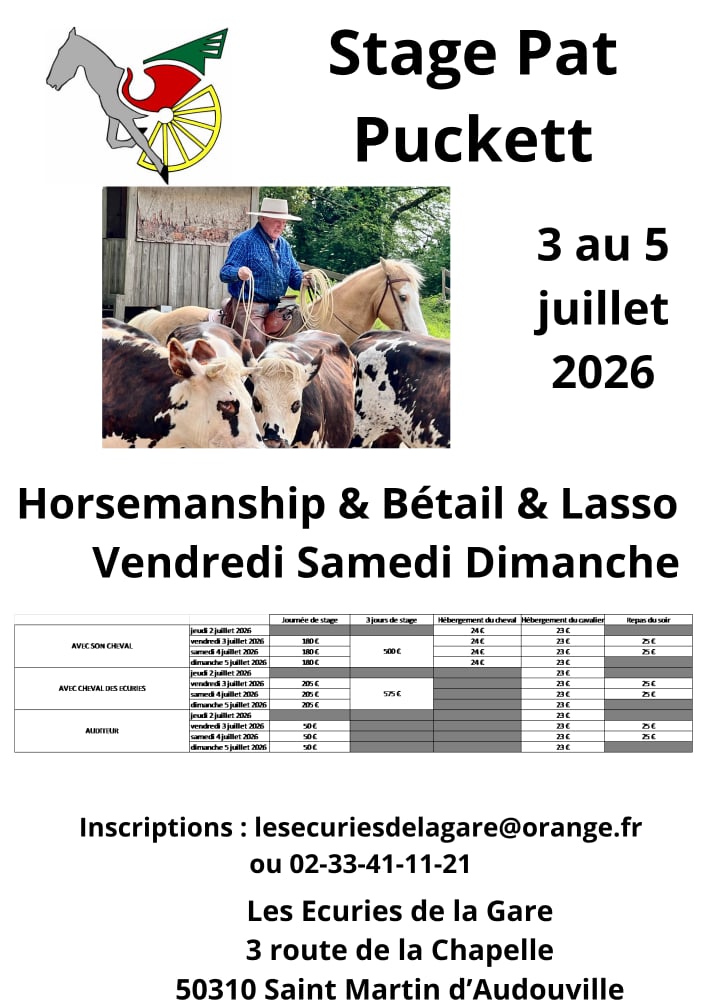 Stage équitation western