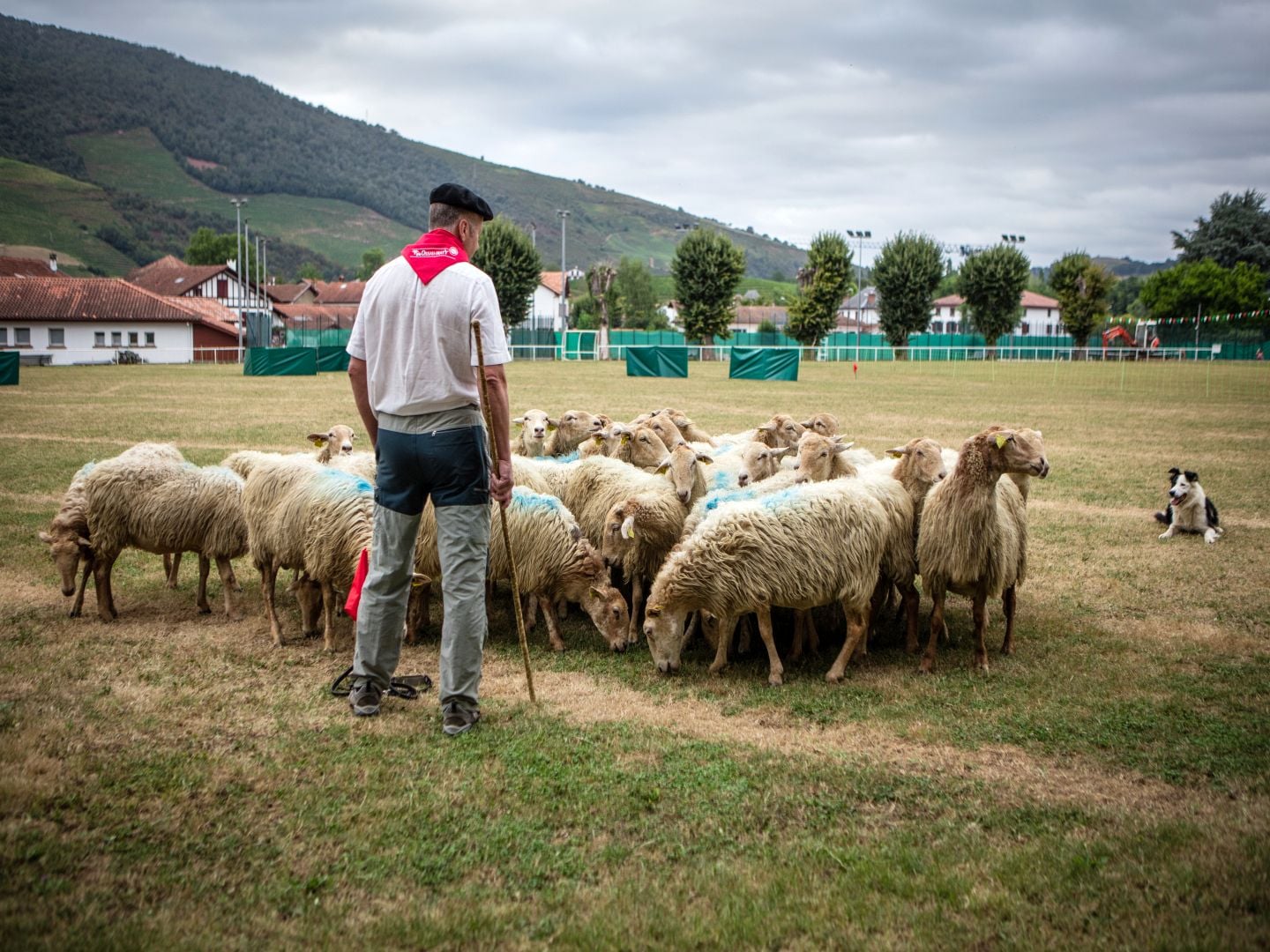 Foire gastronomique et artisanale et concours de chiens de berger
