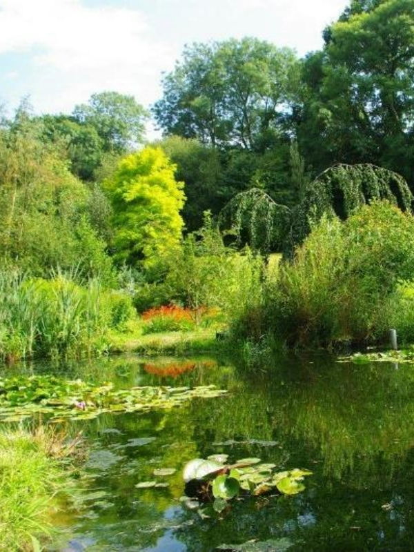 Visite du jardin "Le pré du moulin"