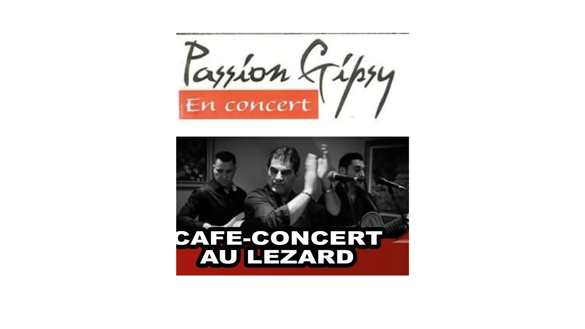 Concert trio "Passion Gypsy"