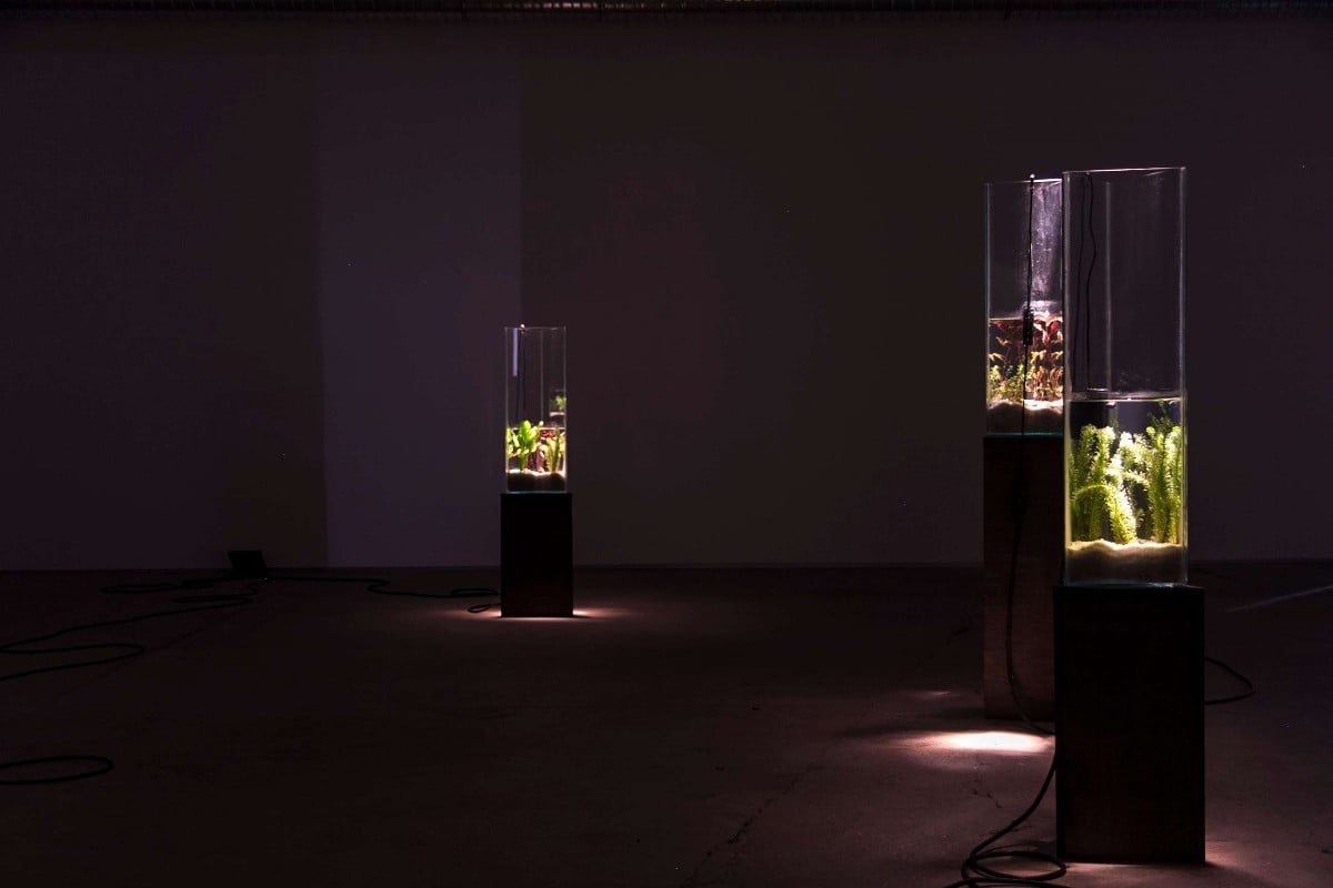 Exposition "La Vague irrésolue" - Clément Davout et Léo Fourdrinier (en partenariat avec le festival Interstice)