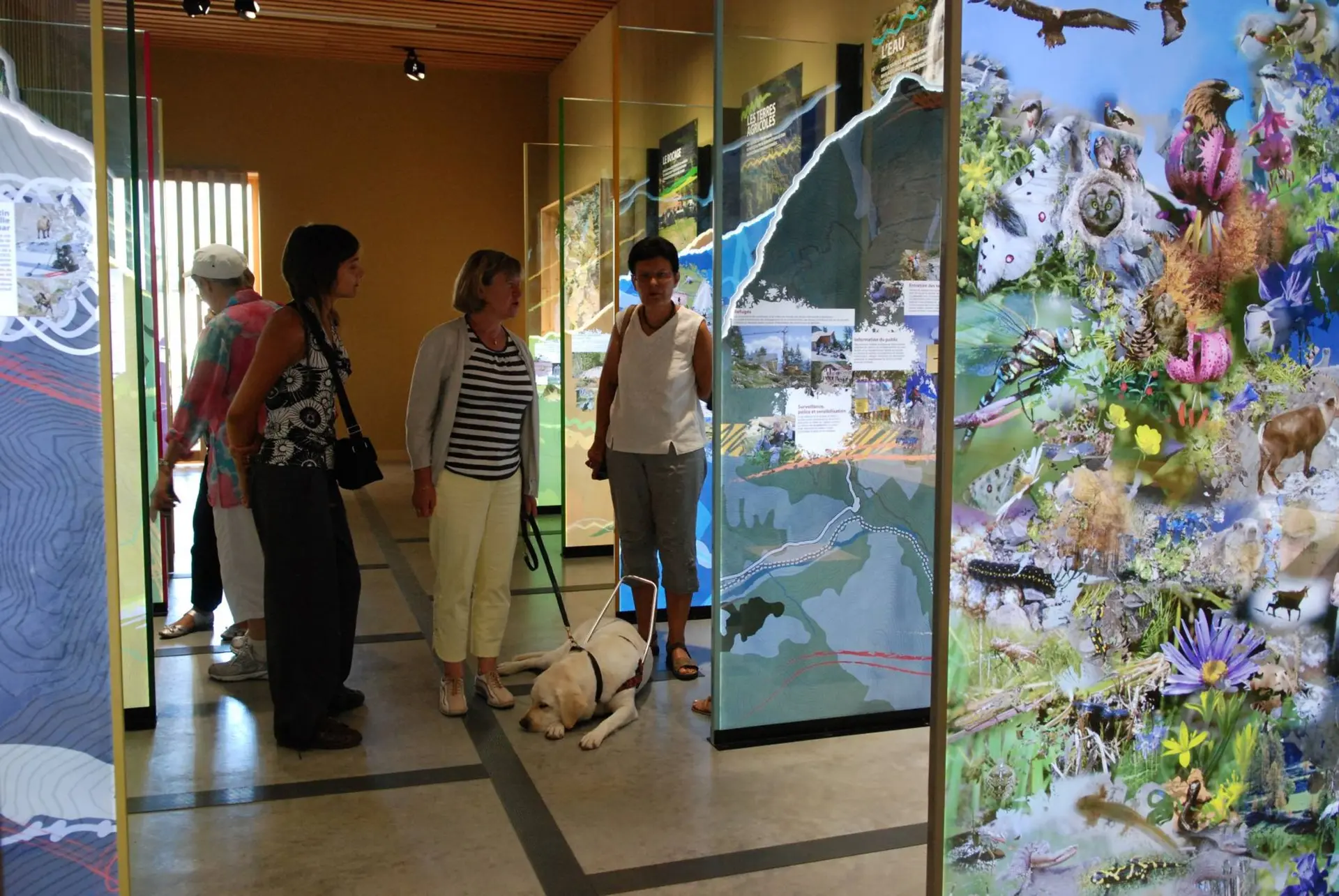 Exposition : La vallée du Valgaudemar