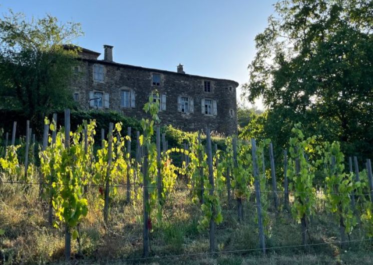 BALADE GOURMANDE