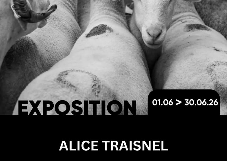 Exposition d’Alice Traisnel