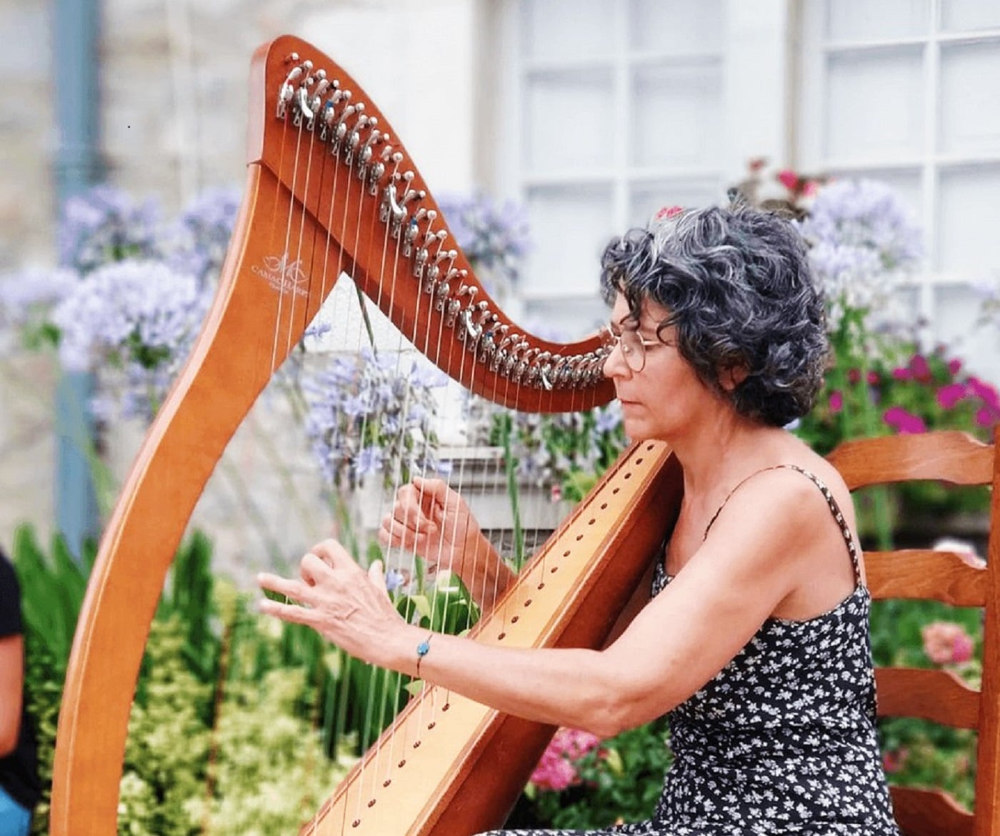 Concert des harpes et violons