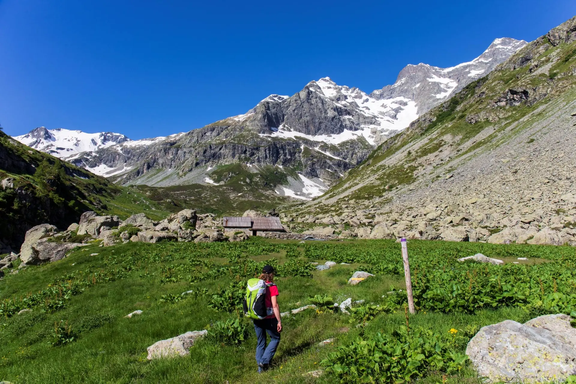 Rencontre sur l'alpage avec le Parc national des Ecrins