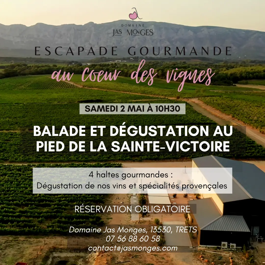 Escapade gourmande au cœur des vignes