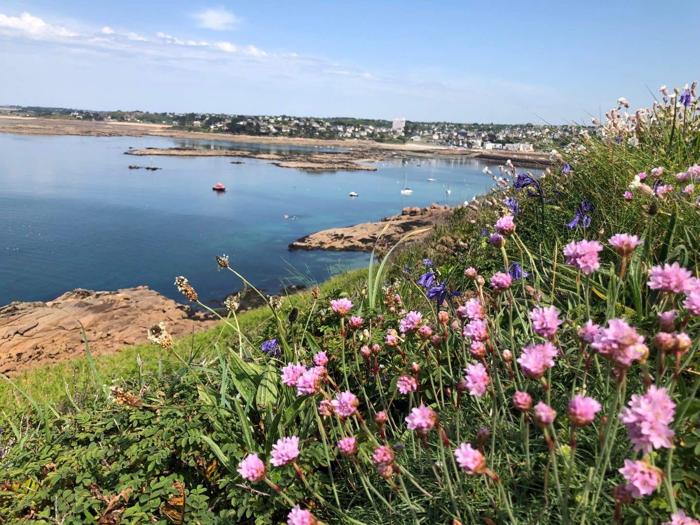 Ile Milliau – Découverte et pique-nique en anglais