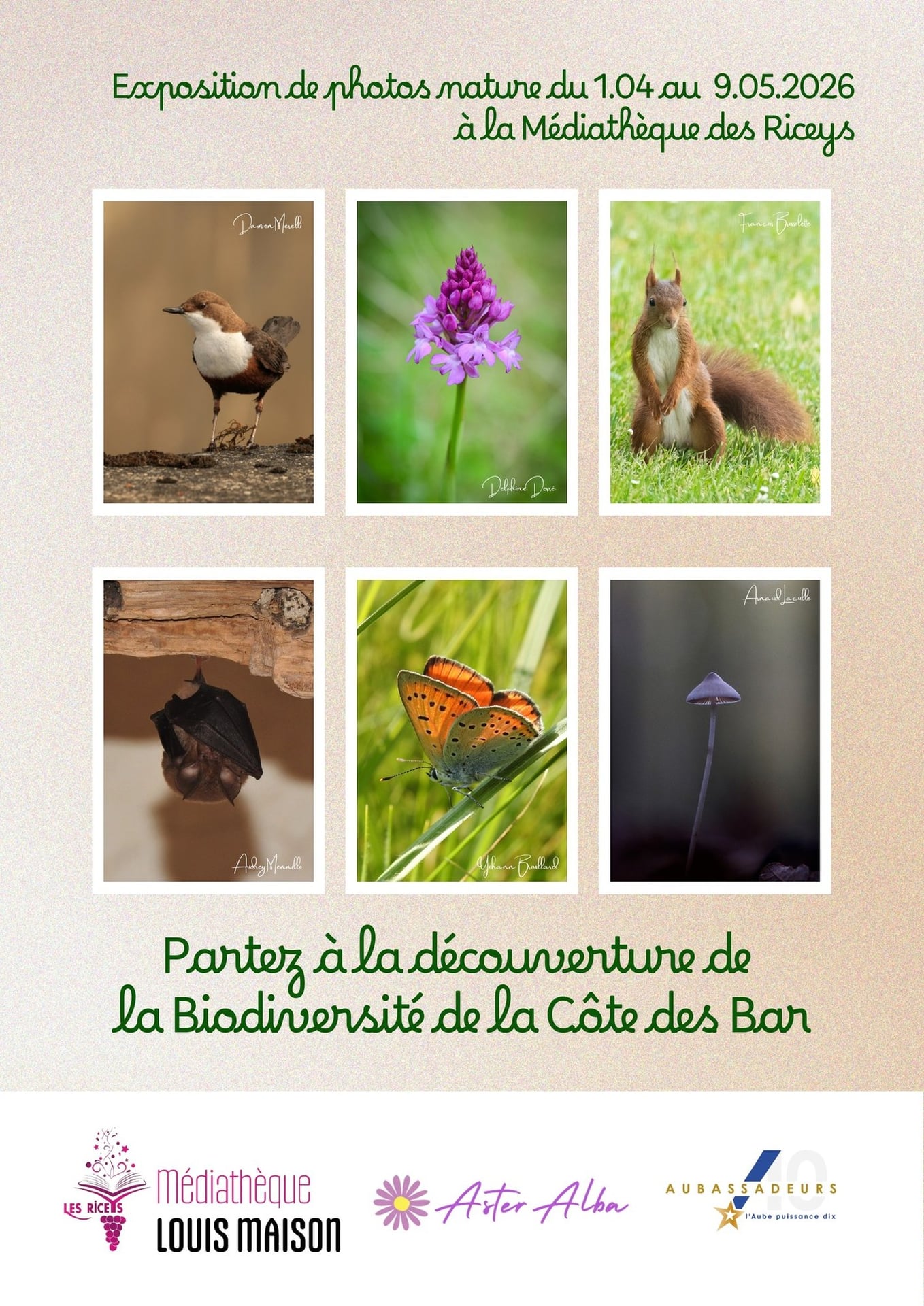 Expositon - L'éveil du printemps