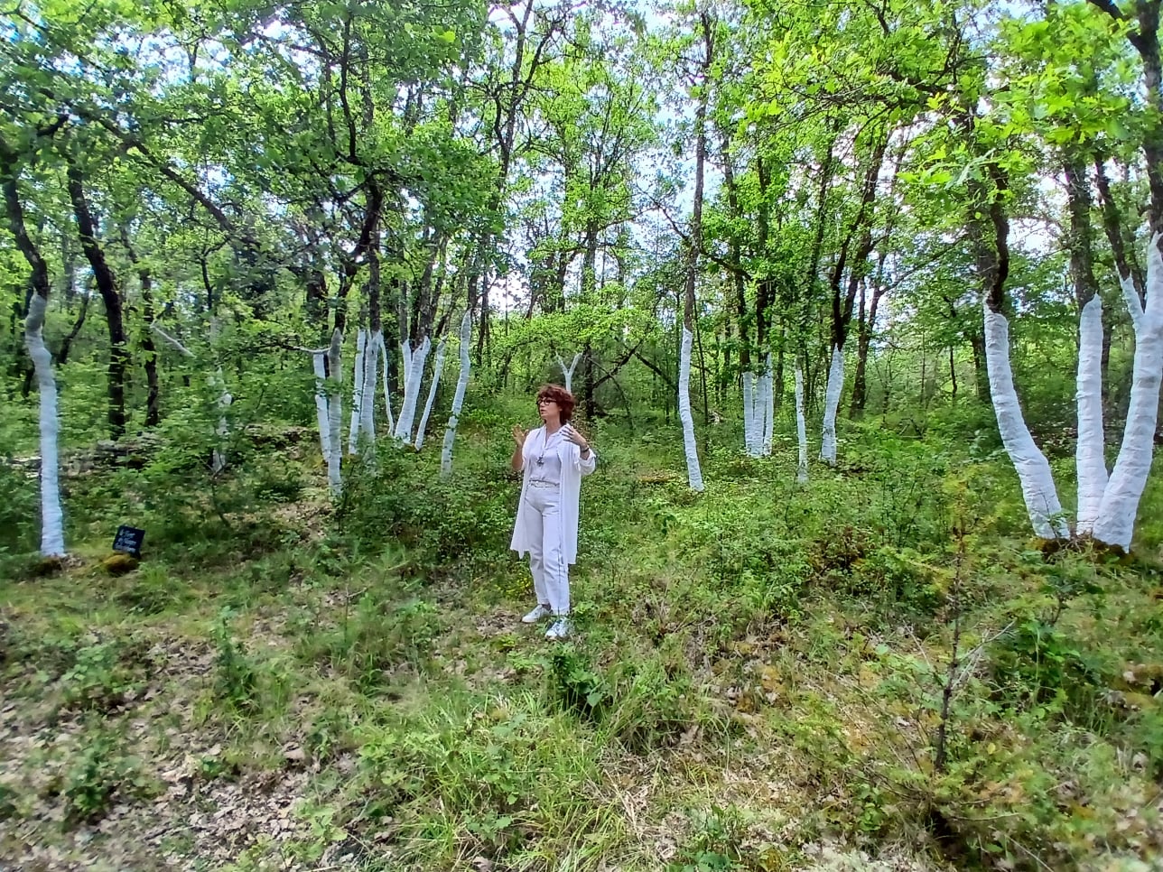 Inauguration du nouveau parcours Art sur le Causse