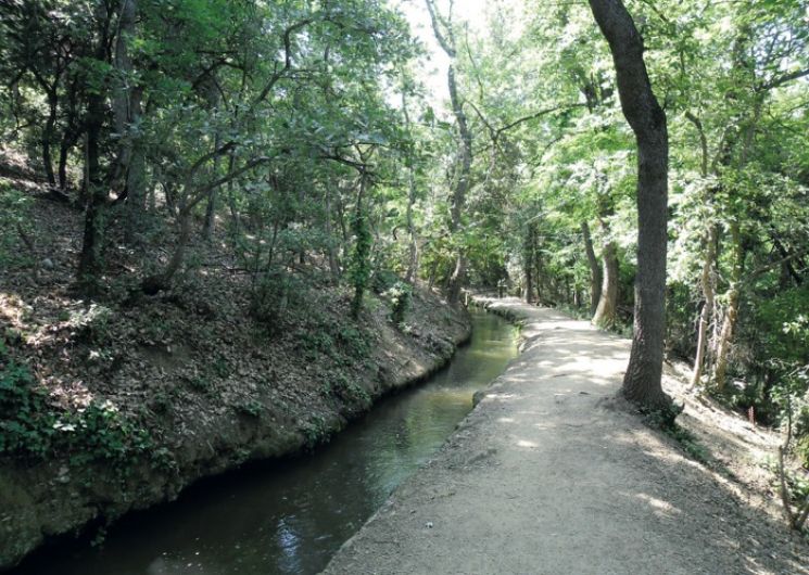 RANDO ACCOMPAGNEE : LE CANAL DE BOHERE, LA VIE SUR LES CONTREFOTS DU CANIGO