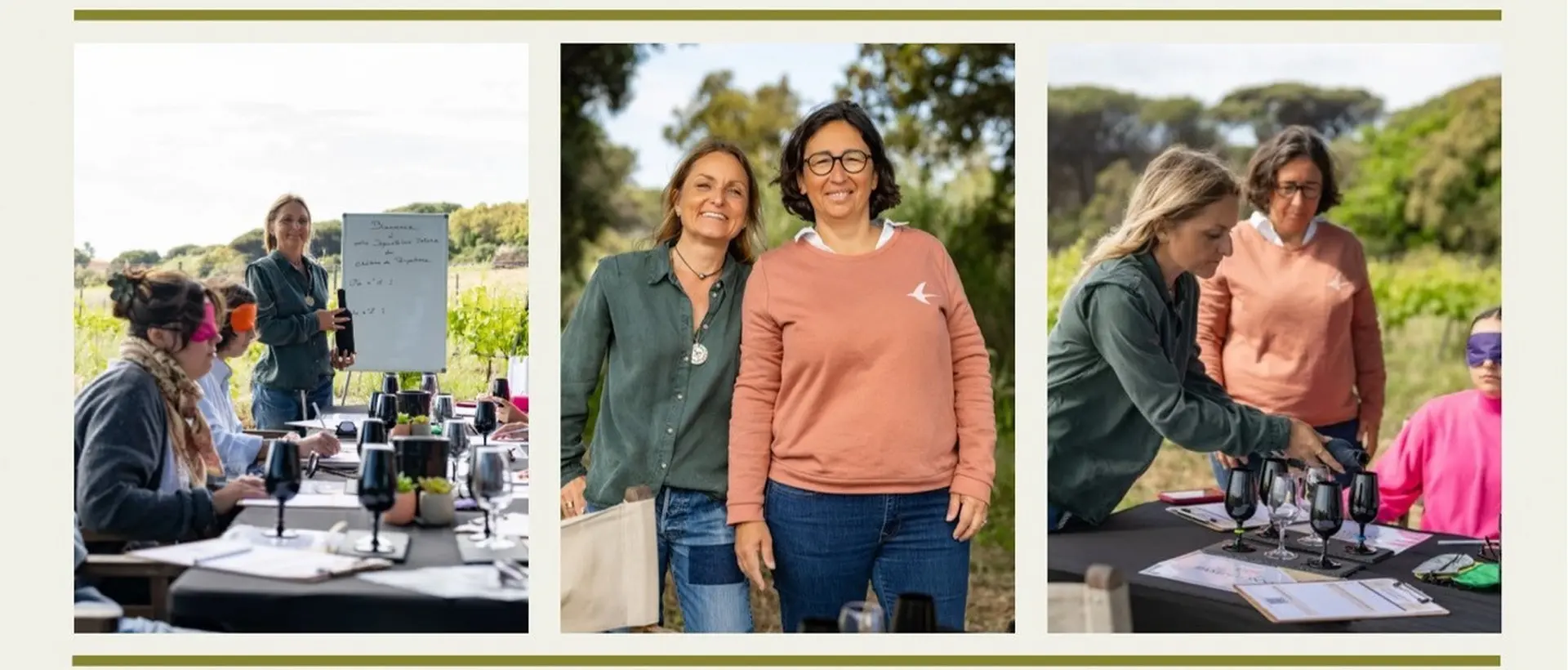 Atelier dégustation au coeur des vignes