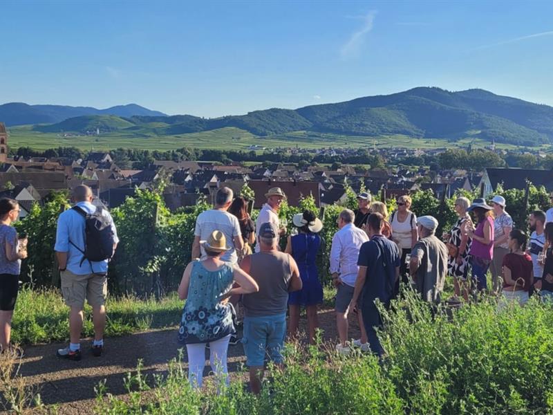 Apéro gourmand au domaine Tappe