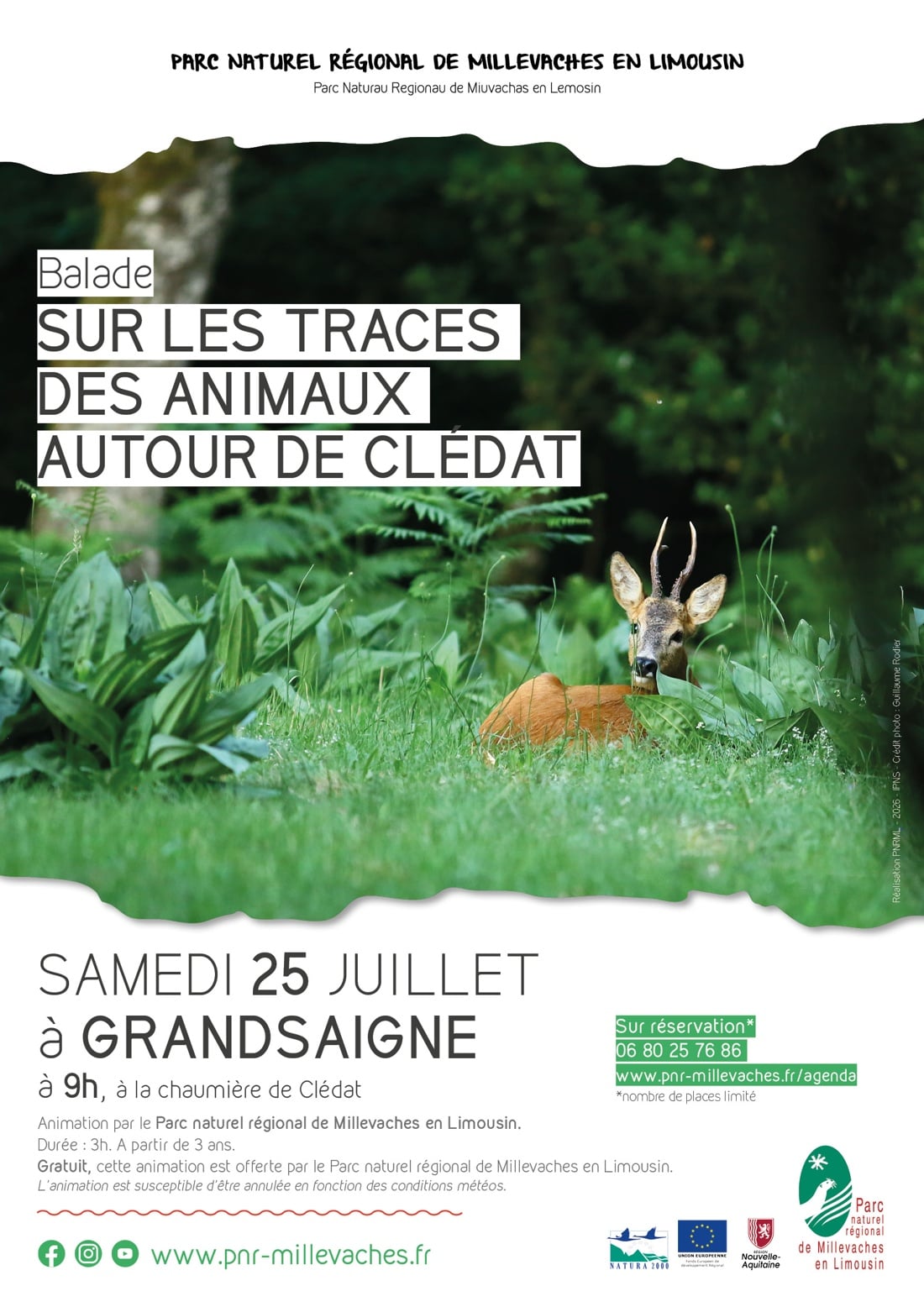 Les Pastorales de Clédat : Sur les traces des animaux autour de Clédat