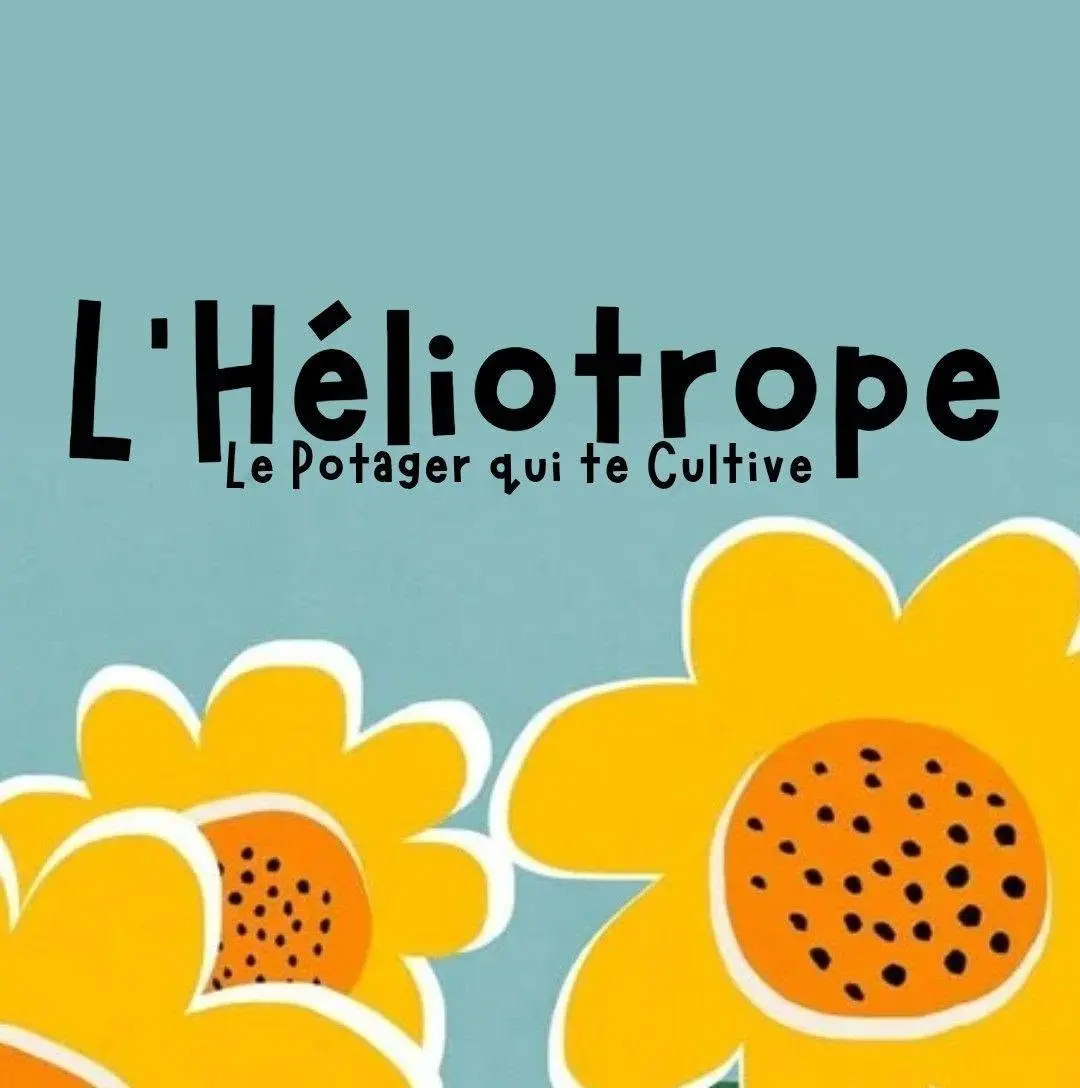 Animations de juin à l'Héliotrope