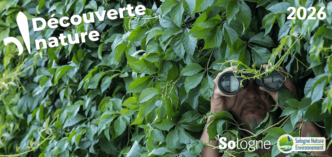 Découvertes Sologne Nature - Enquête d'affût  à Bracieux