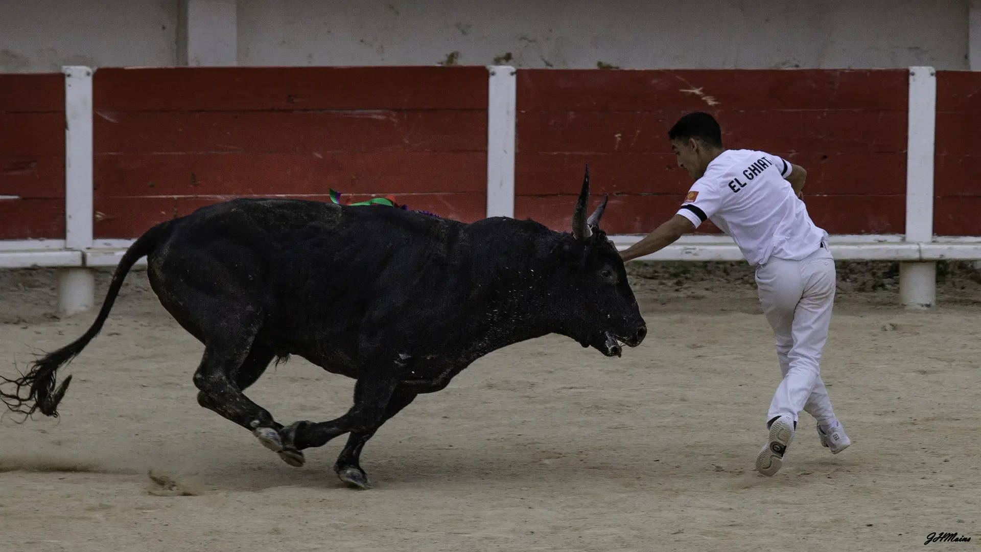 Course camarguaise aux arènes «Finale Trophée de l’Avenir»
