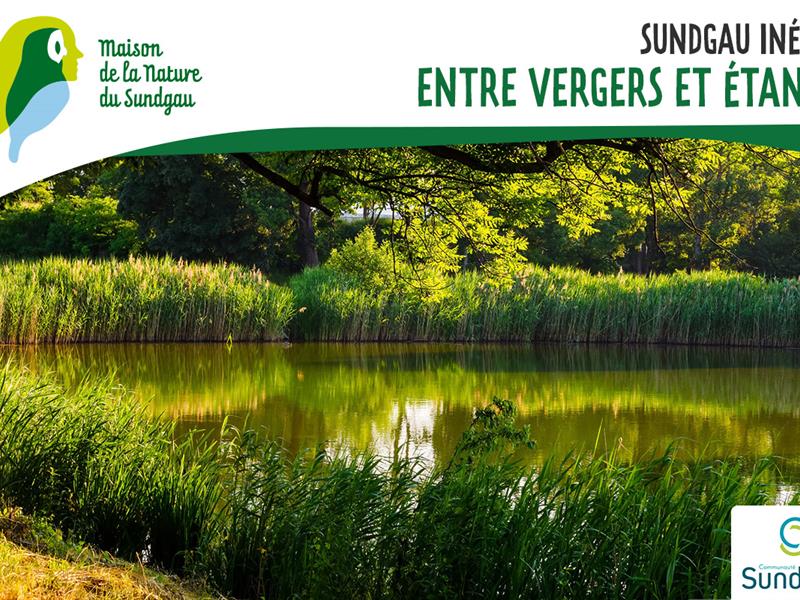 Sundgau inédit -Entre vergers et étangs -À partir de 8 ans