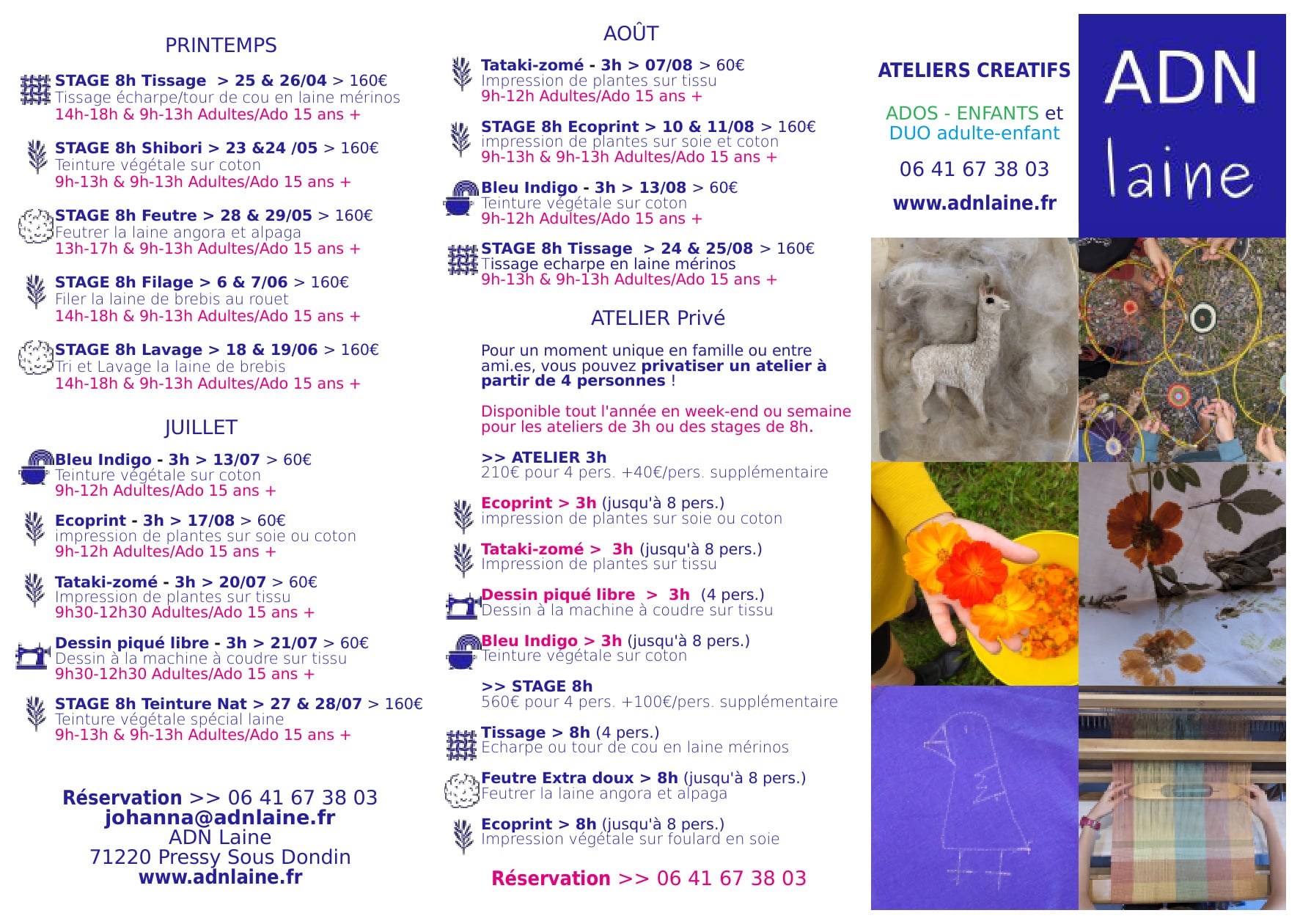 Stage de Feutre de laine