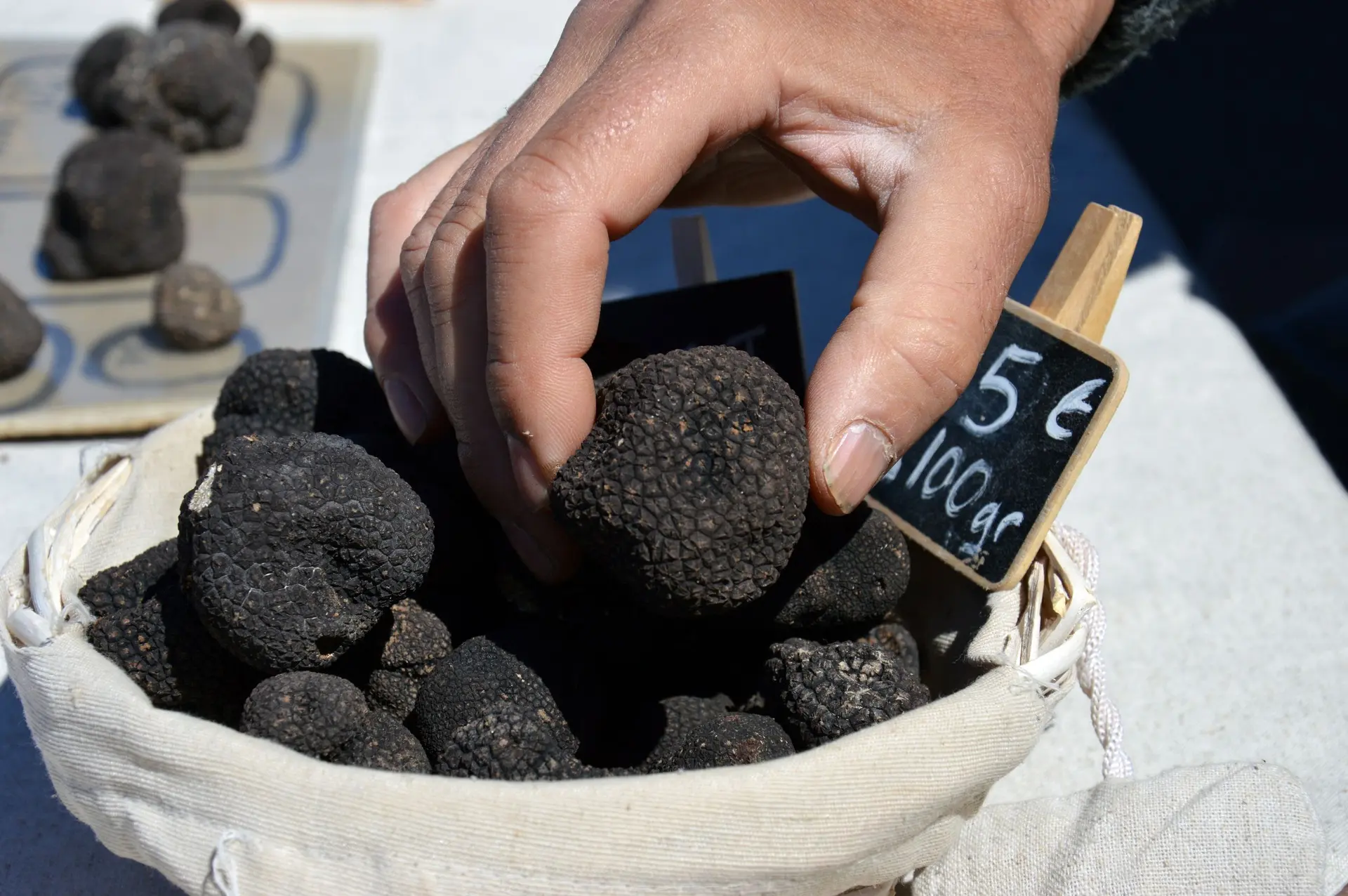 Marché aux Truffes d'été