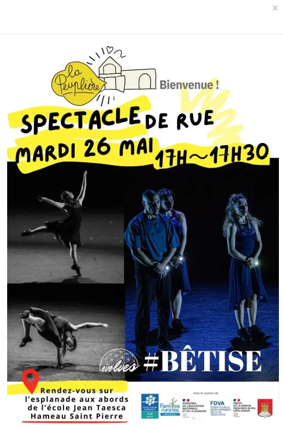 Spectacle de rue : # Bêtise