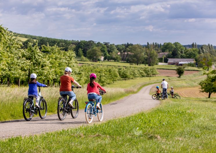 Balade commentée en vélo électrique suivie d’une dégustation