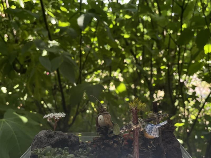 Atelier enfant 3-6 ans : Mini-jardin