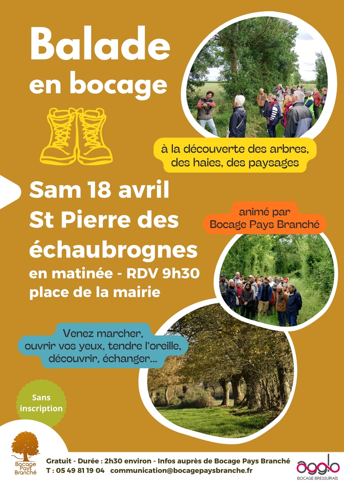 Sortie nature - Balade en bocage
