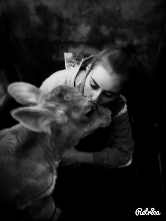 Assistez a la Traite des Vaches