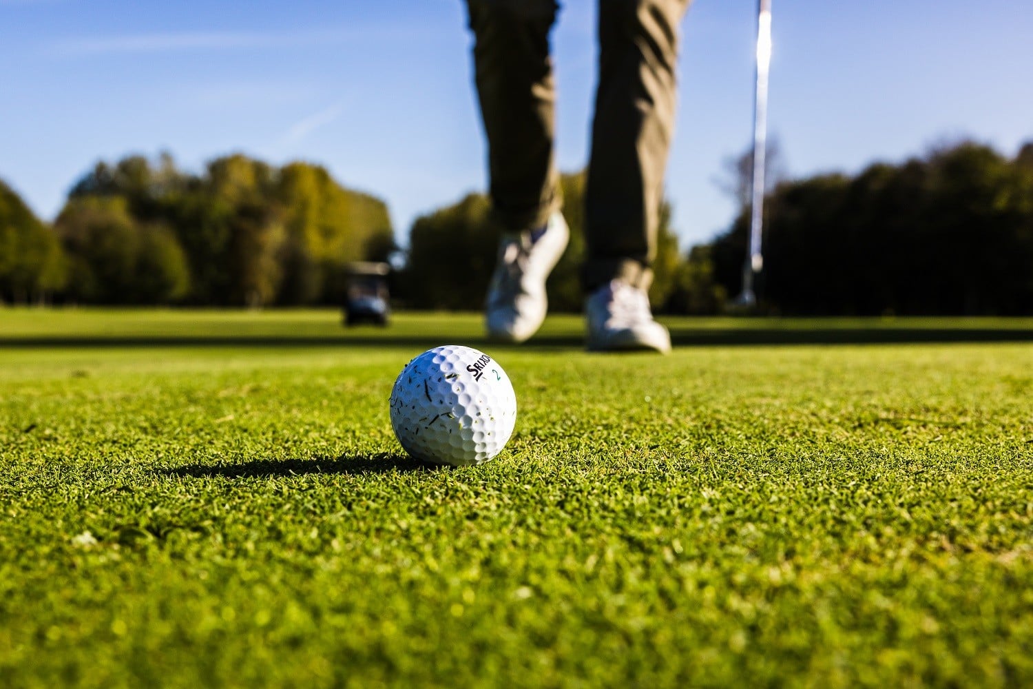 Stage de Golf Enfants