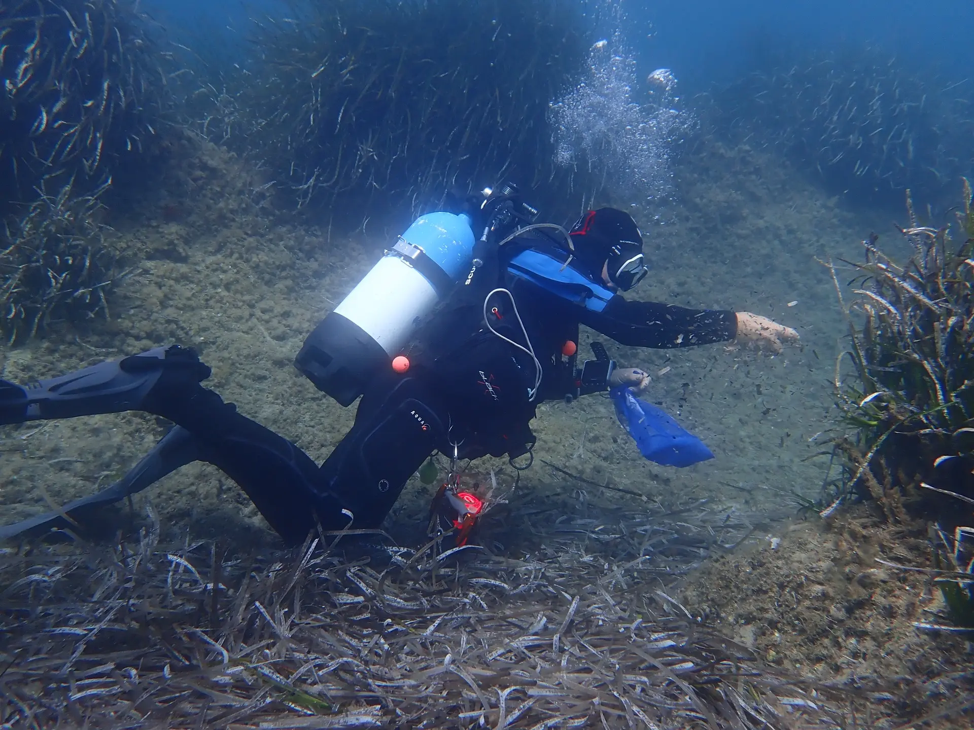 Nettoyage des fonds marins
