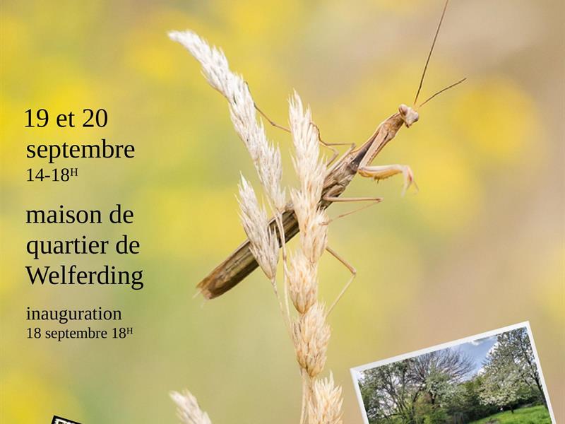 Journées du Patrimoine - expo photo, la beauté de la biodiversité dans nos jardins