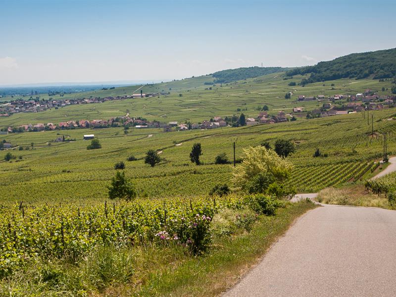 Escape game : les clés de la cave