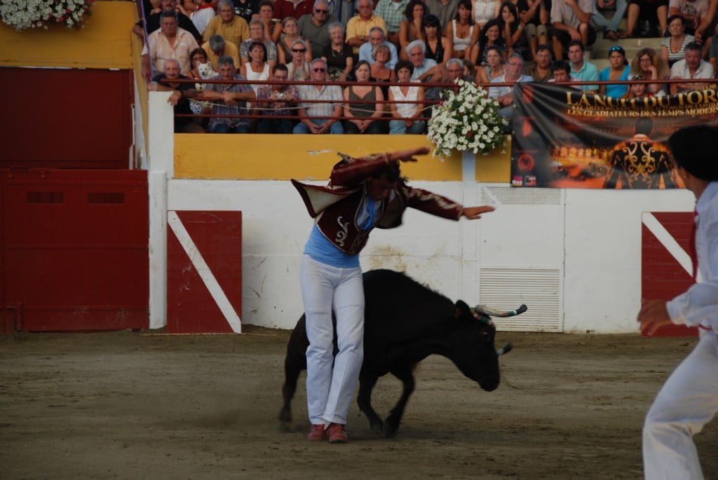Course landaise
