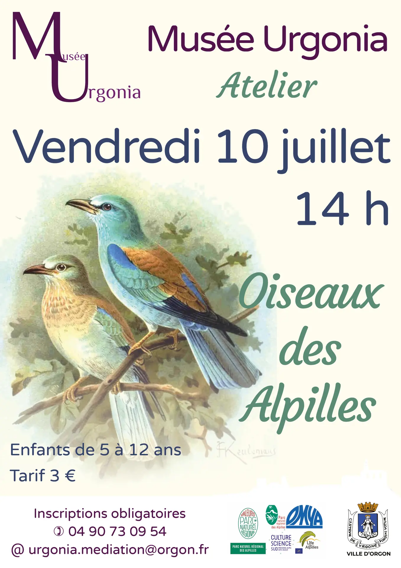 Atelier Life - Les oiseaux des Alpilles