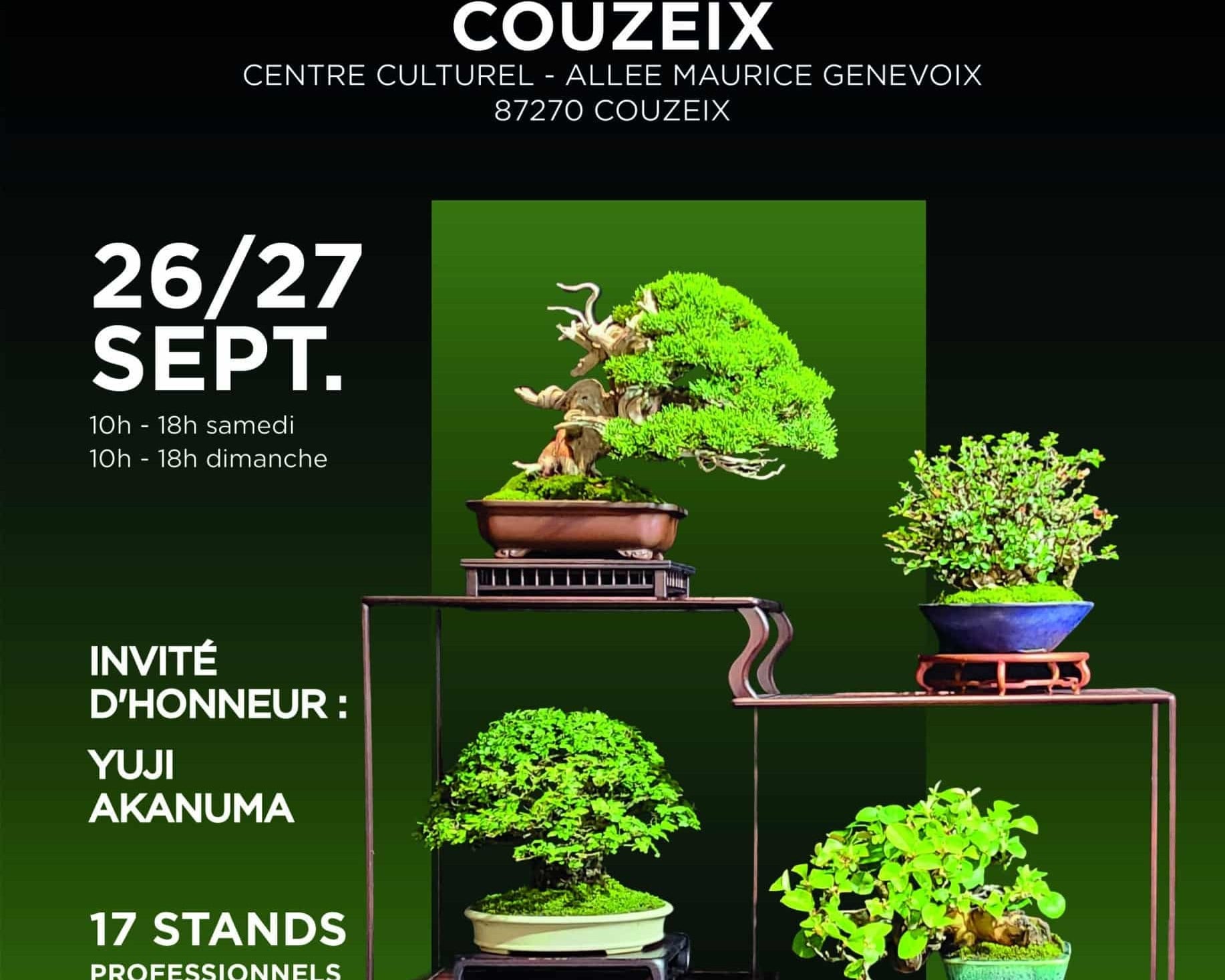 Exposition nationale de bonsaï : Couzeix accueille un rendez-vous d’exception