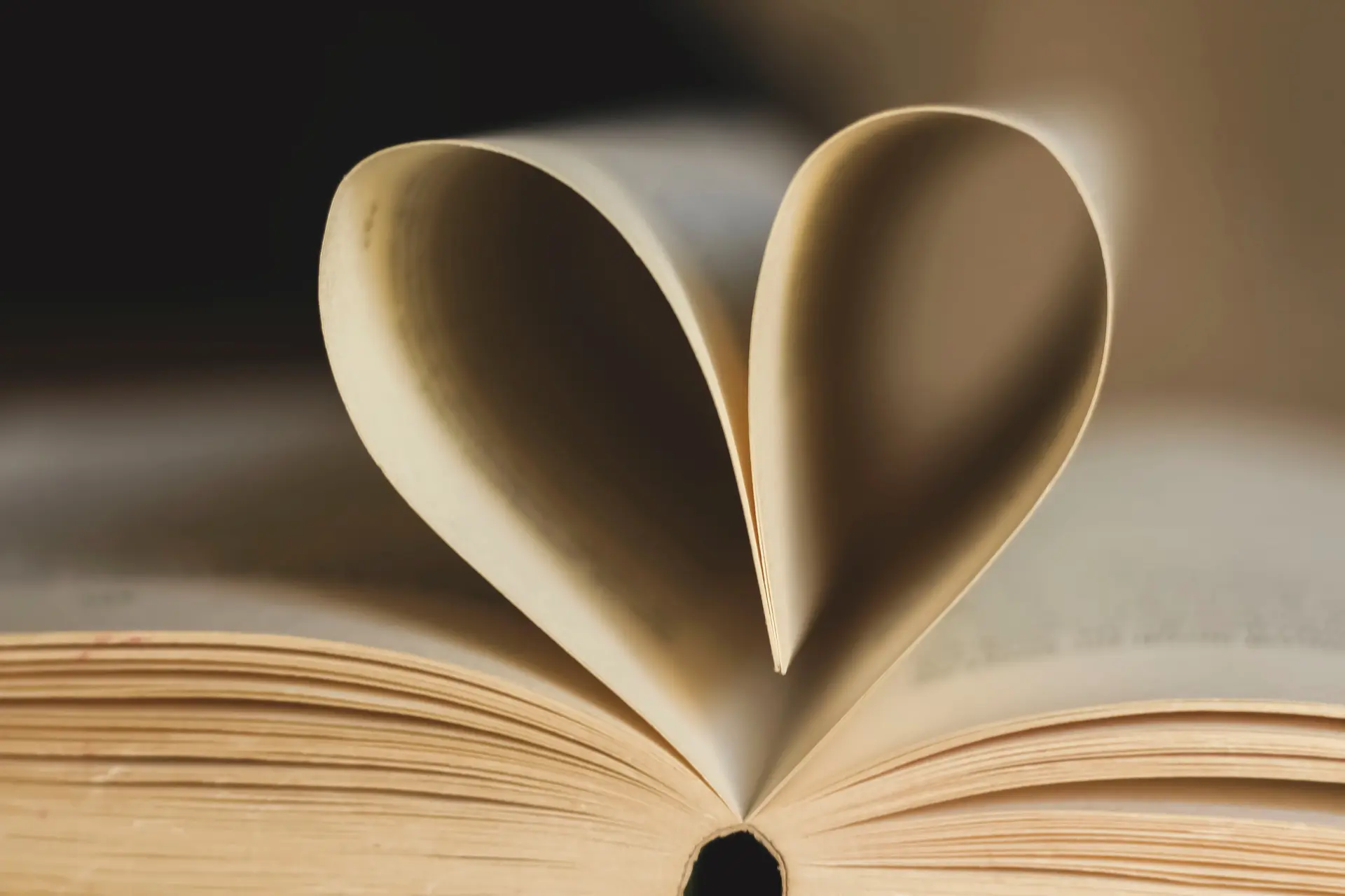 Animation " Lecture coup de coeur "