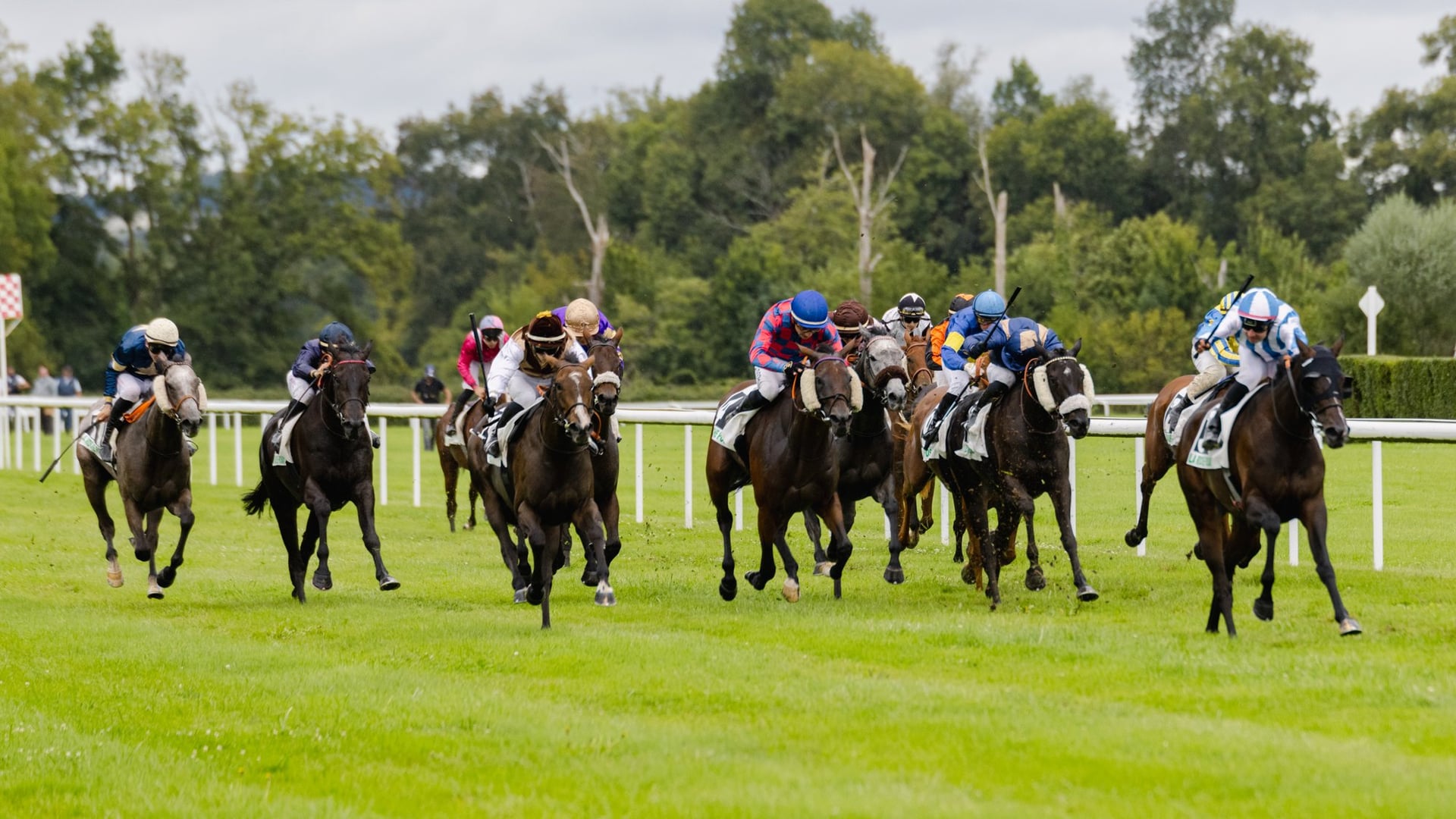 Courses Trot/Obstacle