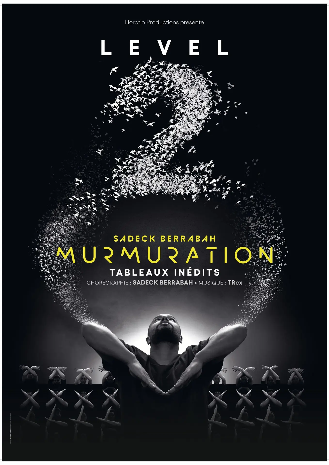 Murmuration - Level 2 - Sadeck Berrabah