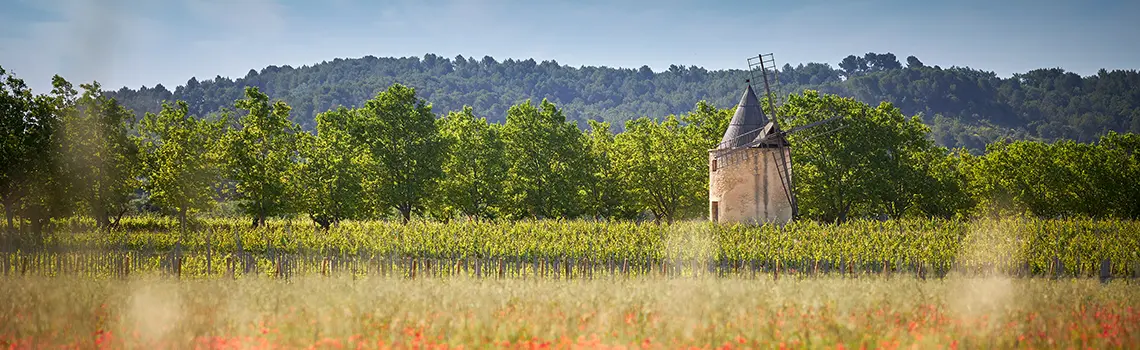SUNSET SESSION AU CŒUR DU LUBERON au Château de Sannes