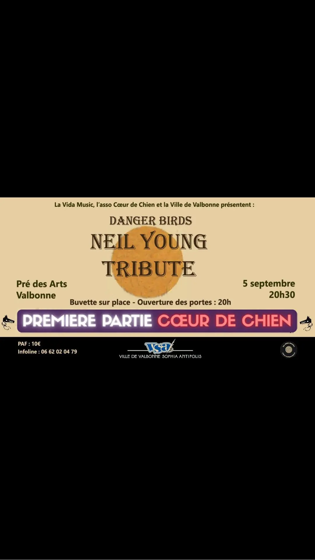 Concert Neil Youg tribute
