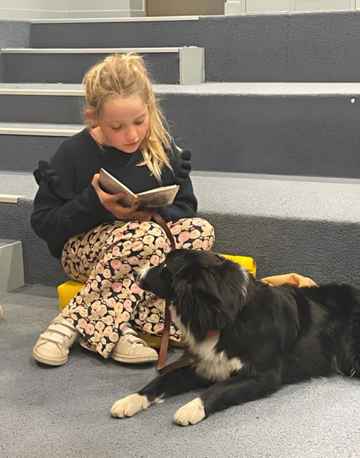 Viens lire avec un chien !