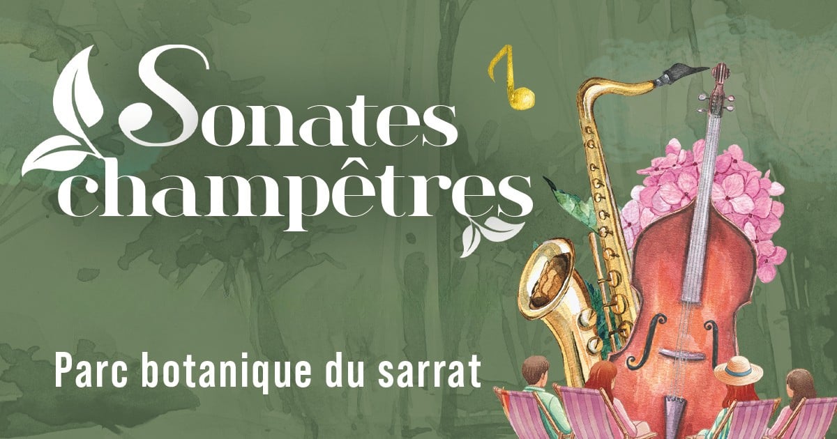 Sonates champêtres : Quatuor Impulse