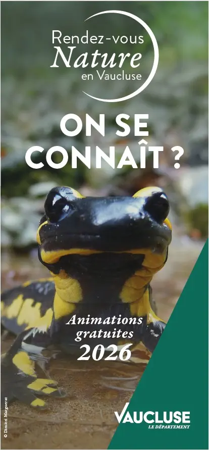 Rendez-vous Nature : Dans l'intimité des chauves-souris