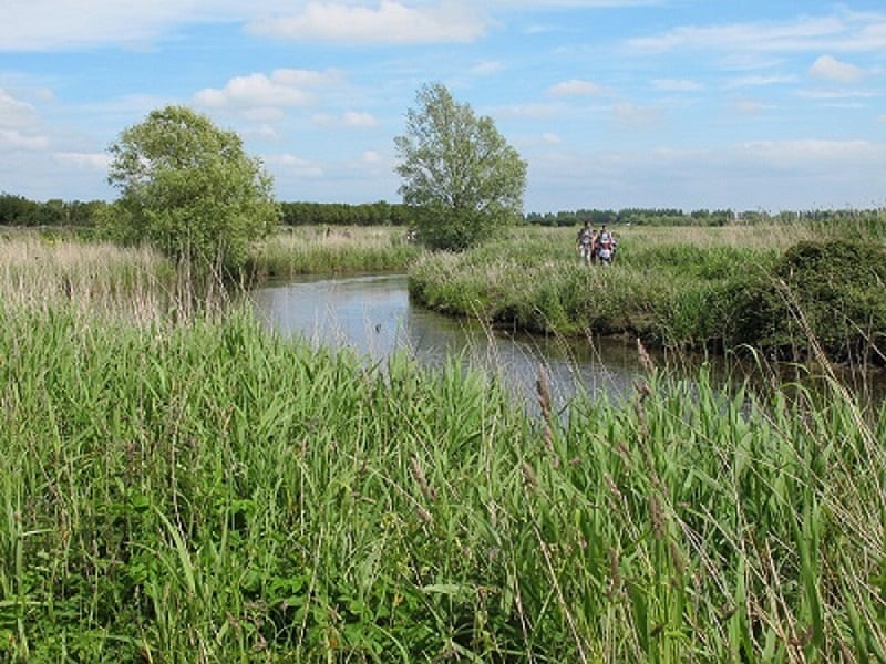 Randonnée dans les marais des Ponts d'Ouve