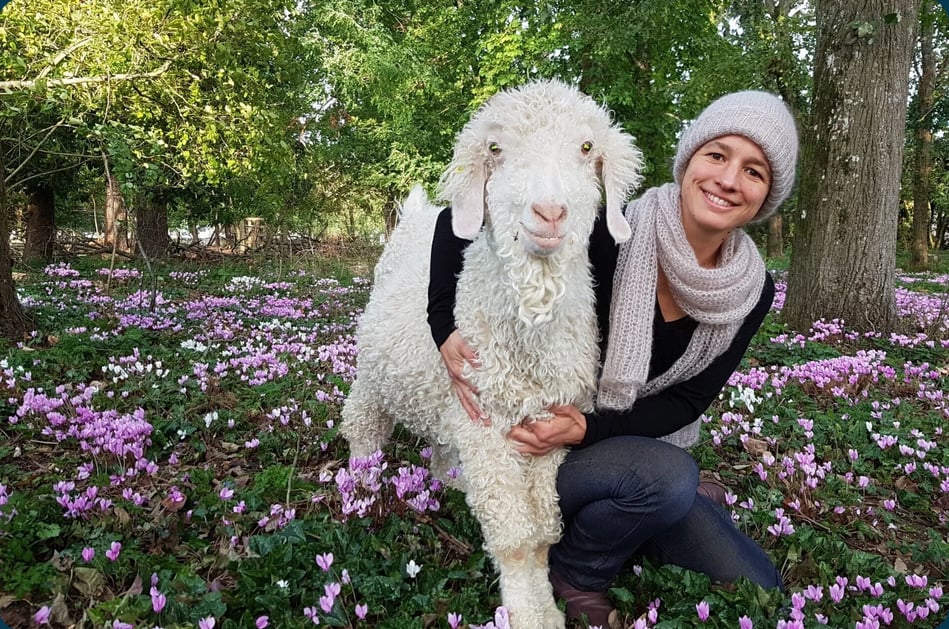 Atelier à la ferme autour des chèvres Angora et de la laine -La Fée Mohair