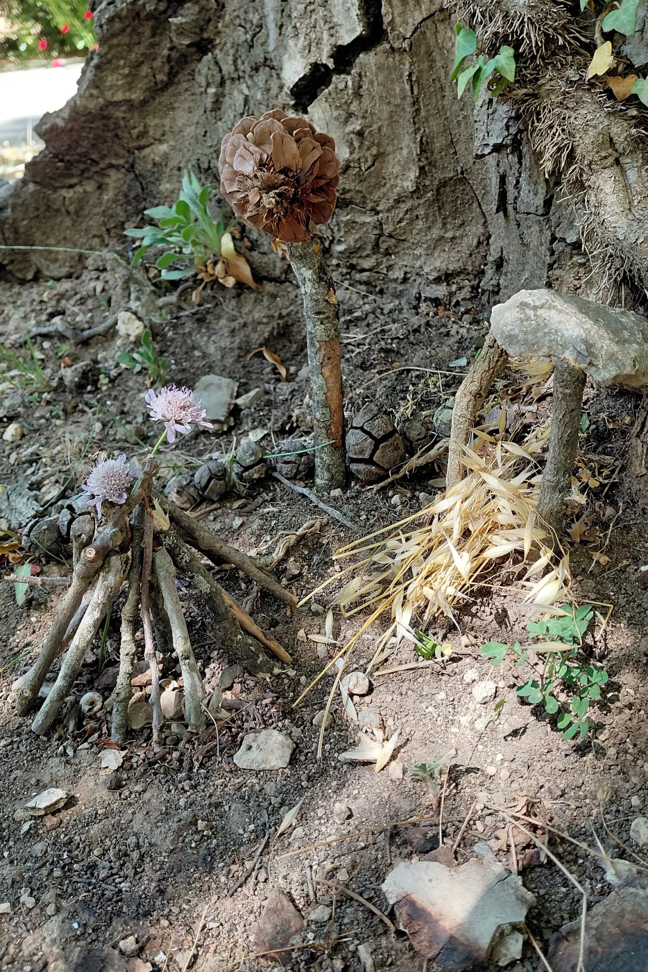 Atelier : Le village des insectes (enfants 6-12 ans )
